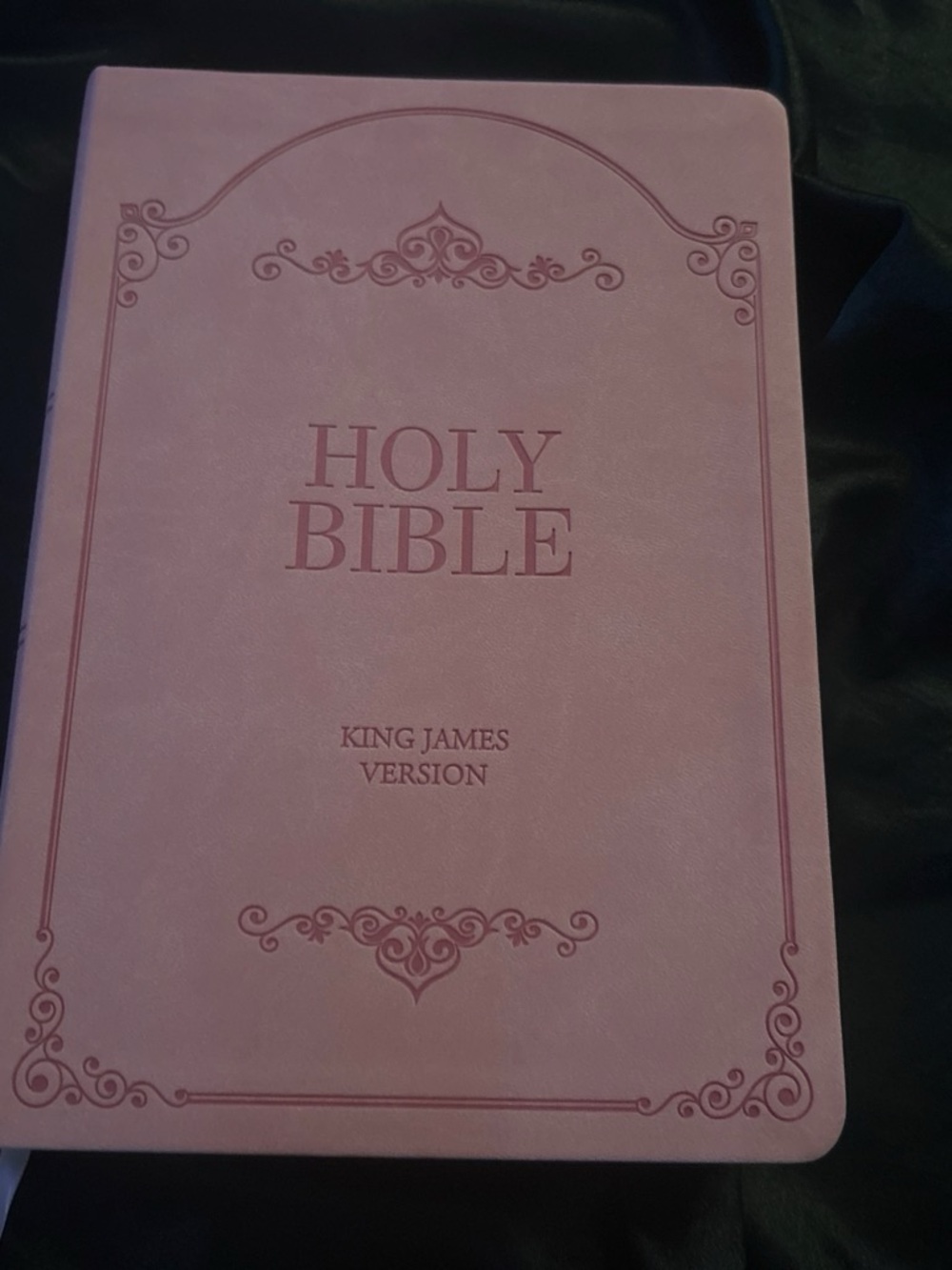 HOLY BIBLE King James Version Pink Hardcover with Bible case